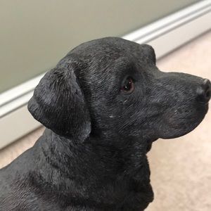 Meet your Posher, Sandy